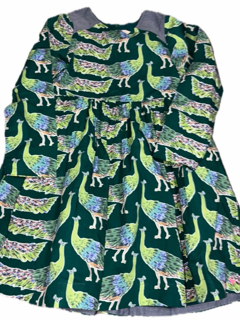 Pink chicken evergreen dress songbird peacocks